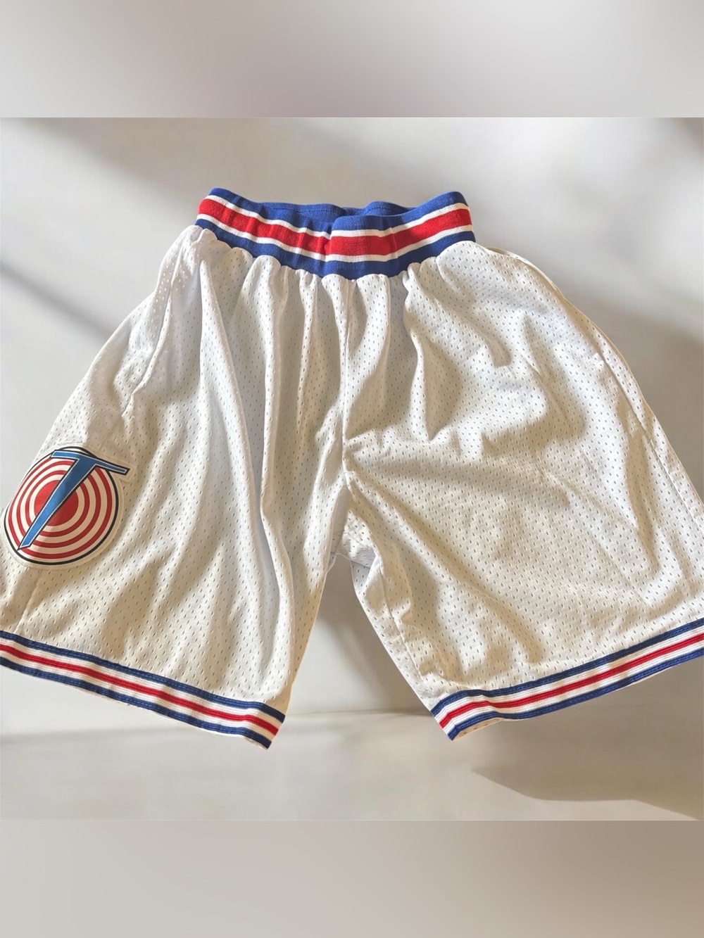 Toon Squad Mesh Basketball Shorts with Embroidered logo Sz S